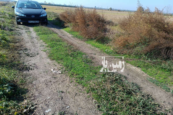 فروش زمین کشاورزی شمال ۲۷۰۰ متر ساری جنب روستای پایین لموک-4