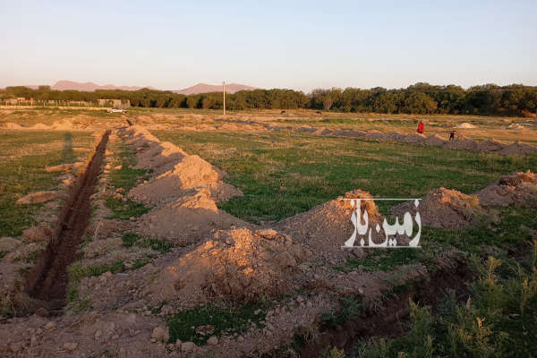 فروش زمین کشاورزی مراغه ۵۰۰۰ متر قبل روستای خانقاه شهرک شیلات-3