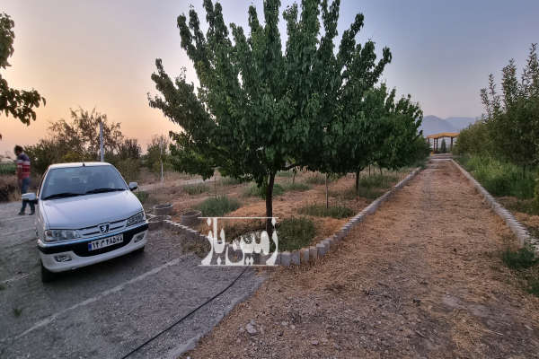 فروش زمین باغ البرز ۱۰۰۰ متر نظرآباد روستای گازرسنگ-2