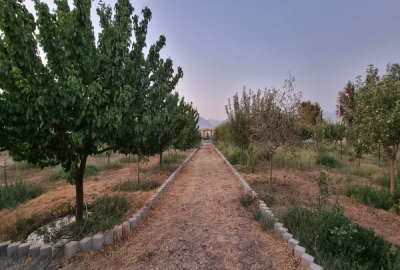 فروش زمین باغ البرز ۱۰۰۰ متر نظرآباد روستای گازرسنگ