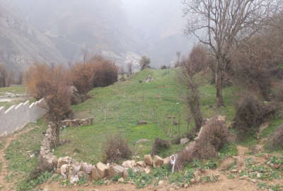 فروش زمین مسکونی شمال ۳۰۰ متر مرزن‌ آباد روستای طویر