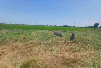 فروش زمین کشاورزی شمال ۳۹۰ متر بابل جاده جدید آمل زرگرشهر متکه