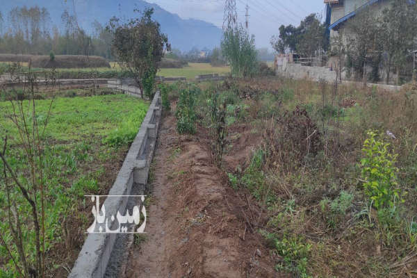 فروش زمین مسکونی باغ گیلان ۸۲۰ متر لاهیجان-3
