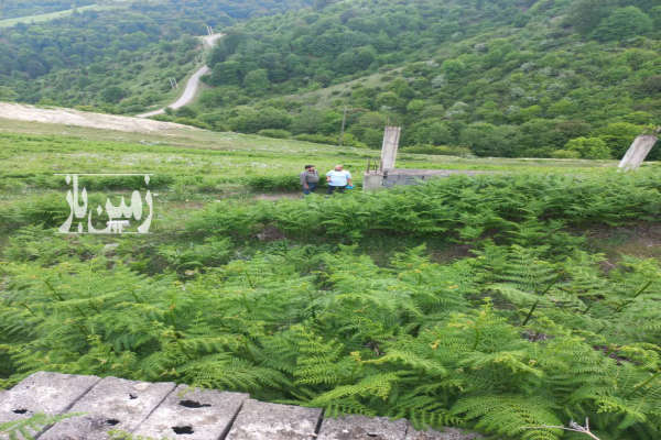فروش زمین باغ شمال ۶۰۰ متر کلاردشت جاده عباس آباد روستای پینبور‌-1