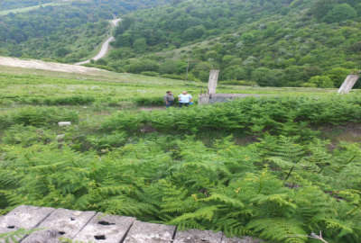 فروش زمین باغ شمال ۶۰۰ متر کلاردشت جاده عباس آباد روستای پینبور‌