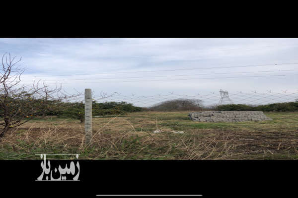فروش زمین باغ شمال ۱۰۰۰ متر قائمشهر کوتنا کوهساران-2