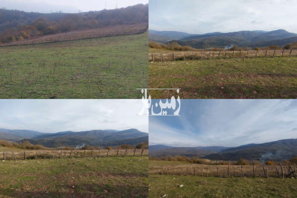 فروش زمین باغ شمال ۱۳۰۰ متر پل سفید روستای اساس-2