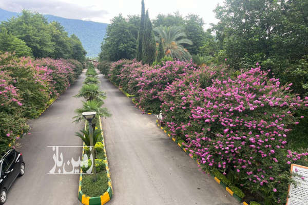 فروش زمین مسکونی شمال ۷۹۰ متر کلارآباد شهرک دسا-1