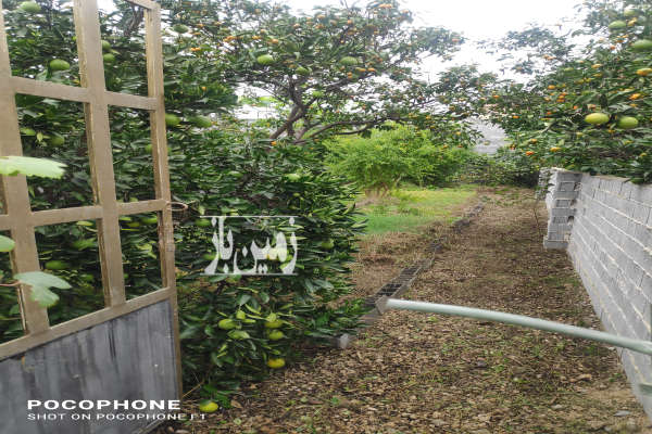 باغچه در شمال ۱۵۵ متر ساری شهبند-1