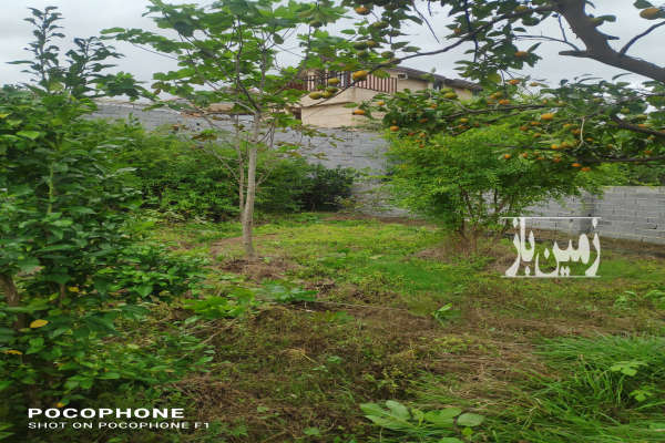 باغچه در شمال ۱۵۵ متر ساری شهبند-2