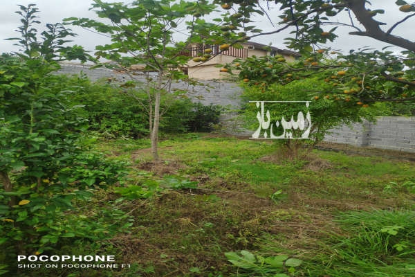 باغچه در شمال ۱۵۵ متر ساری شهبند-4