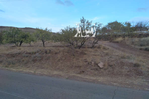 فروش زمین باغ زنجان ۶۰۰۰ متر ابهر روستای حصار عبدالکریم-4