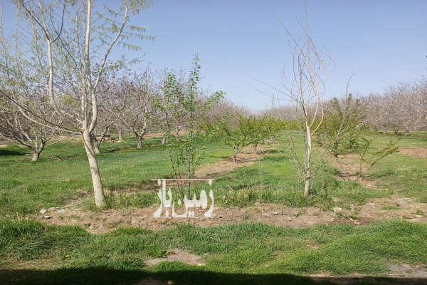 فروش زمین مسکونی کلنگی قزوین ۴۰۰ متر خاکعلی روستای اسلام اباد-2