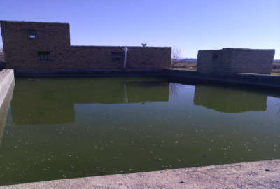 فروش زمین باغ اردبیل ۶۰۰۰ متر مشگین شهر روستای تبنق