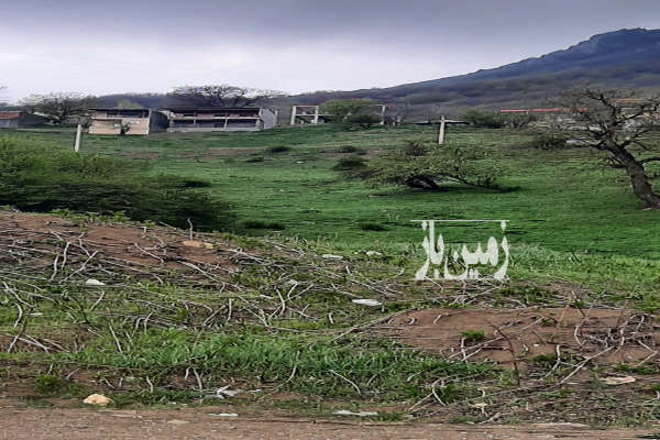 فروش زمین مسکونی شمال ۱۶۵ متر سوادکوه روستای اوریم-3