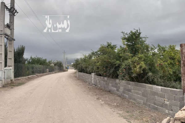 فروش زمین باغ شمال ۱۰۰۰۰ متر بهشهر-4