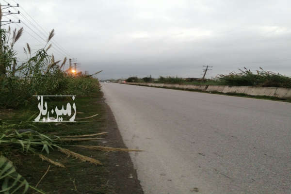 فروش زمین کشاورزی شمال ۵۰۰ متر آمل دابودشت-2