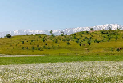 فروش زمین باغ همدان ۱۰۹۵۰ متر نهاوند نهاوند