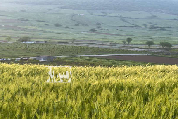 فروش زمین باغچه شمال ۲۰۰ متر کیاسر ساری روستای تلوکلا-2