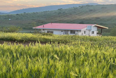 فروش زمین باغچه شمال ۲۰۰ متر کیاسر ساری روستای تلوکلا