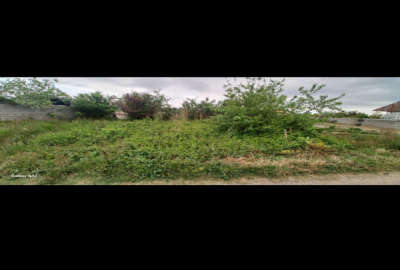فروش زمین مسکونی گیلان ۲۴۰ متر رشت روستای پیشه ور