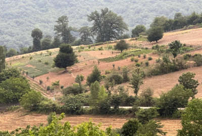 فروش زمین باغ کشاورزی شمال ۲۰۰۰ متر ساری