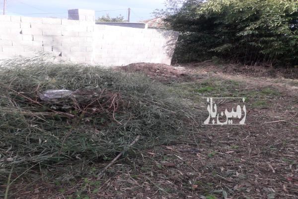 فروش زمین مسکونی گیلان ۳۲۰ متر فومن به قلعه رودخان-2