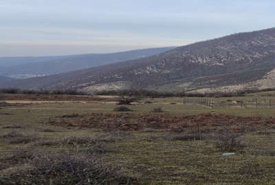 فروش زمین کشاورزی گلستان ۵۴۵ متر گرگان روستای زیارت البیسی