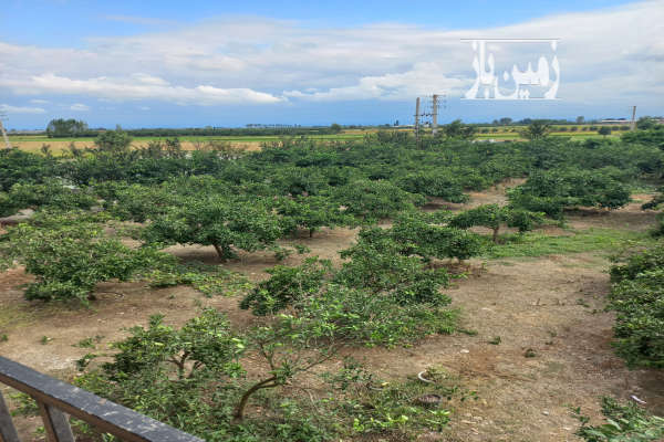 فروش زمین باغ شمال ۴۵۰۰ متر بابل جاده کیاکلا-4