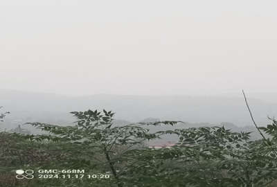 فروش زمین کشاورزی شمال ۴۰۰ متر ساری روستای پایین کولا