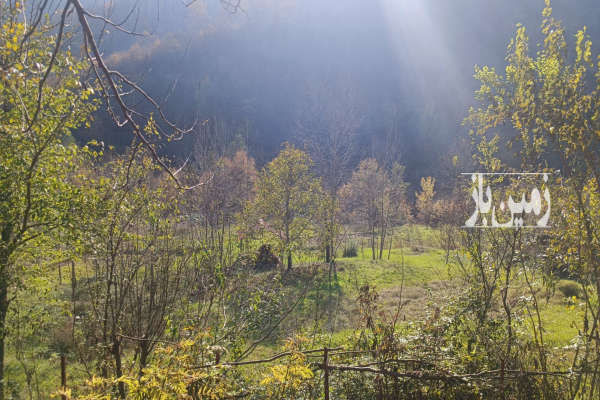 فروش زمین مسکونی گیلان ۶۳۶ متر بعد رستم‌ آباد قبل روستای رشته رود-2