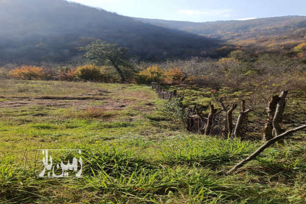 فروش زمین مسکونی گیلان ۶۳۶ متر بعد رستم‌ آباد قبل روستای رشته رود-3