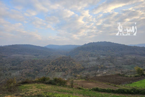 فروش زمین باغ کشاورزی شمال ۱۰۰۰۰ متر ساری روستای امره-3