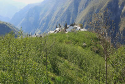 فروش زمین مسکونی باغ گیلان ۴۰۰۰ متر رودسر رحیم اباد روستای طیولا