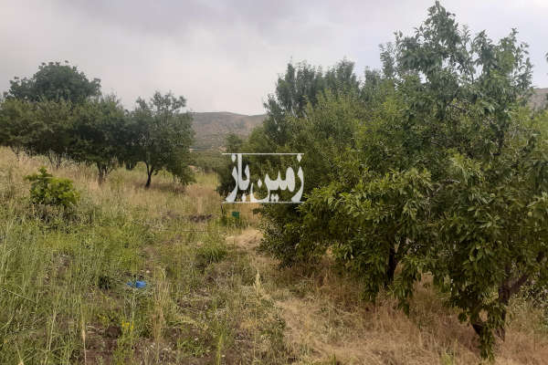 فروش زمین باغ کرمانشاه ۲۴۰۰ متر روانسر روستای پشتنگ-3