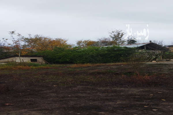 فروش زمین مسکونی گیلان ۳۰۰ متر شفت روستای بیجارسر-4