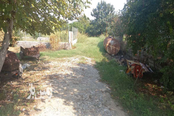 فروش زمین مسکونی شمال ۲۰۰ متر ساری روستای معلم کلا-2