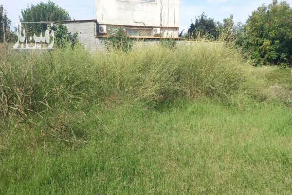 فروش زمین مسکونی شمال ۲۰۰ متر ساری روستای معلم کلا-3