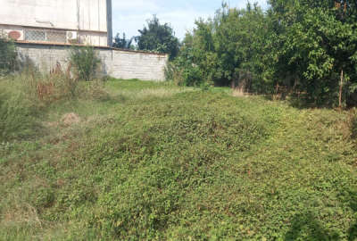 فروش زمین مسکونی شمال ۲۰۰ متر ساری روستای معلم کلا