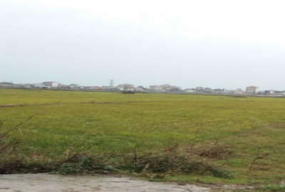 فروش زمین باغ شمال ۳۰۰ متر ساری جاده پلاژ