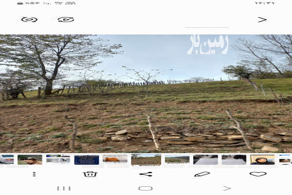 فروش زمین باغ شمال ۳۳۰ متر مرزن اباد روستای ناتر-2