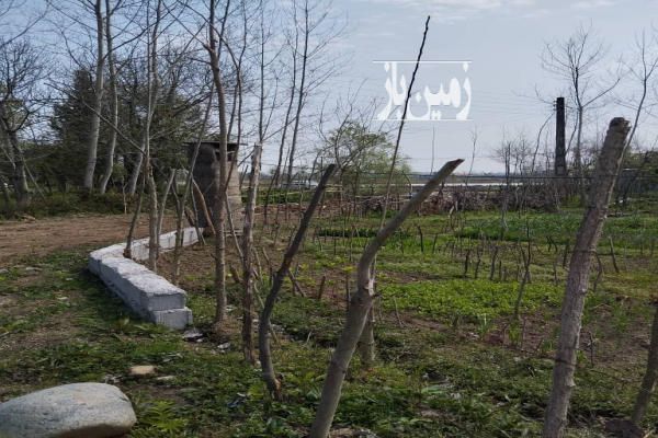 فروش زمین مسکونی گیلان ۳۰۰ متر ماسال شاندرمن خیابان ولیعصر-3