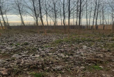 فروش زمین مسکونی گیلان ۱۵۵۰ متر خمام روستای تیسیه