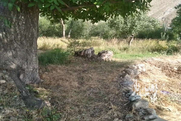 فروش زمین باغ البرز ۷۱۵ متر جاده چالوس شهرستانک-3