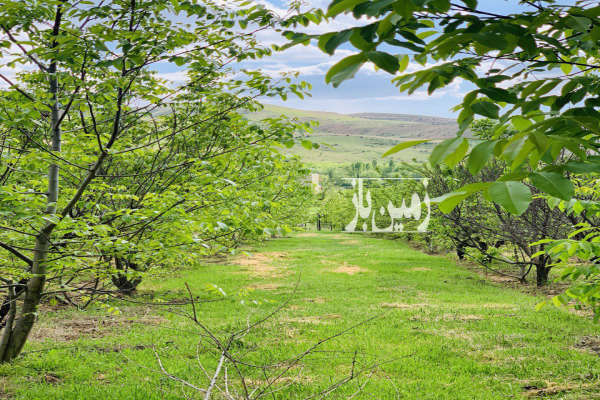 فروش زمین کشاورزی خراسان شمالی ۲۲۵۰ متر آشخانه شیرآباد-2