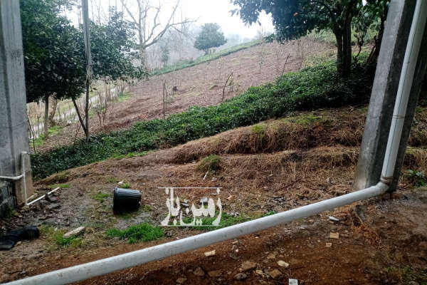 فروش زمین مسکونی گیلان ۲۵۰ متر لاهیجان آهندان روستای جیرگوابر-1