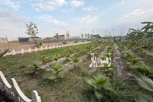 فروش زمین باغ صنعتی شمال ۱۰۰۰ متر محمودآباد-3