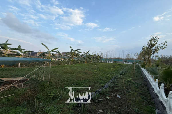 فروش زمین باغ صنعتی شمال ۱۰۰۰ متر محمودآباد-4