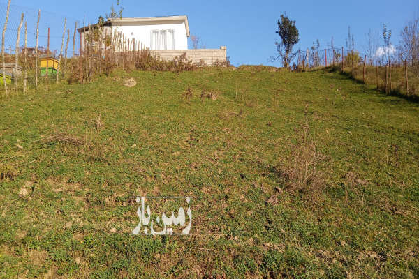 فروش زمین مسکونی شمال ۴۰۰ متر پل سفید روستای دهمیان-1