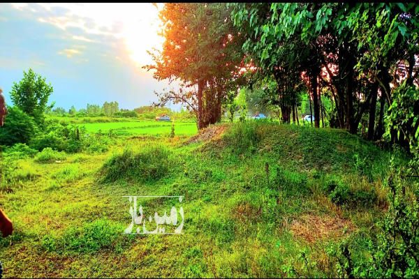 فروش زمین مسکونی گیلان ۸۰۰ متر شفت نهزم-2